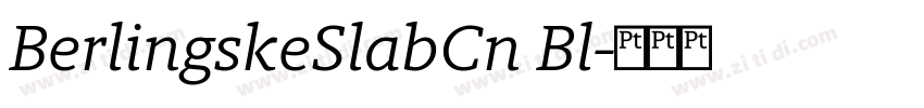 BerlingskeSlabCn Bl字体转换